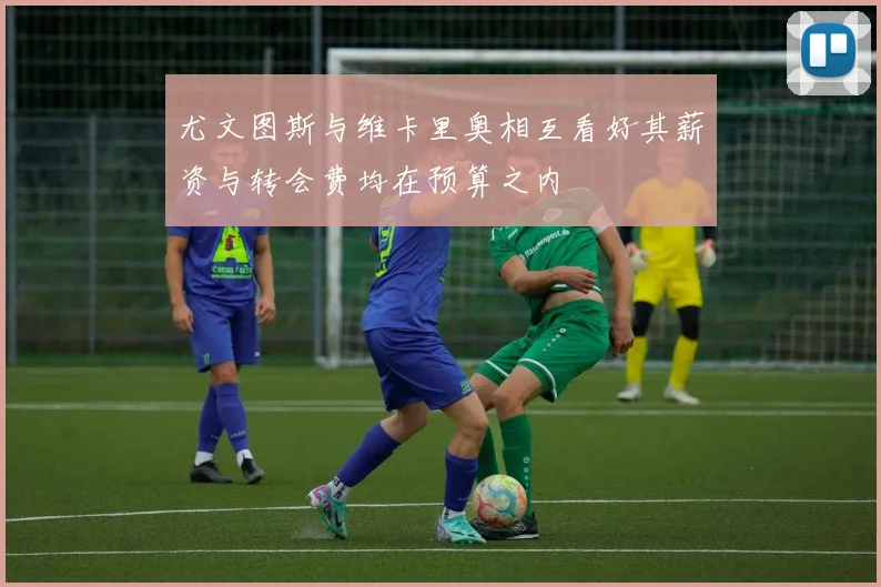 尤文图斯与维卡里奥相互看好其薪资与转会费均在预算之内
